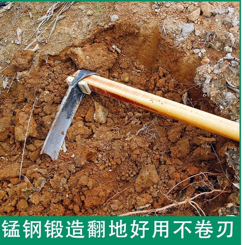 条锄中号 大锄头农具种菜家用挖土开荒锄头全钢挖笋专用翻土地农用老式锻打