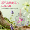 榄菊儿宝健 花艺电蚊液(45mL*3+智能定时加热器)*2盒