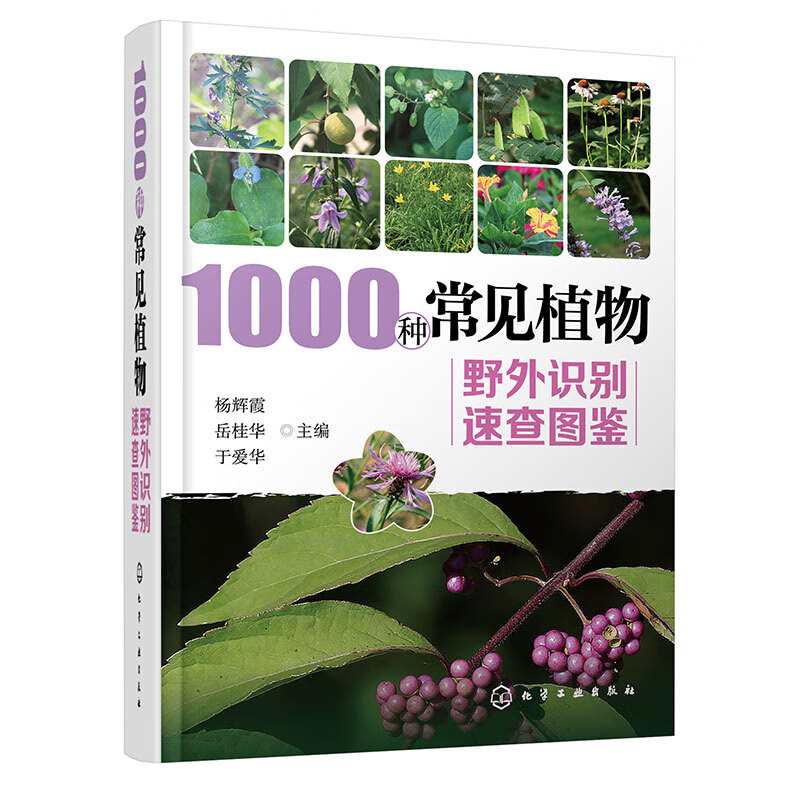 [正版]1000种常见植物野外识别速查图鉴 杨辉霞 家庭书籍野外识别原植物鉴别图册中国常用手册 图识别与应用图典图谱高清大图