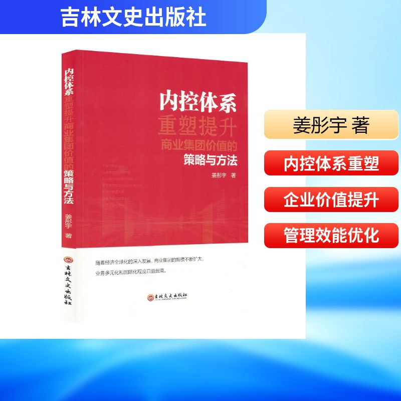 正版新书]内控体系重塑提升商业集团价值的策略方法姜彤宇 著978高清大图