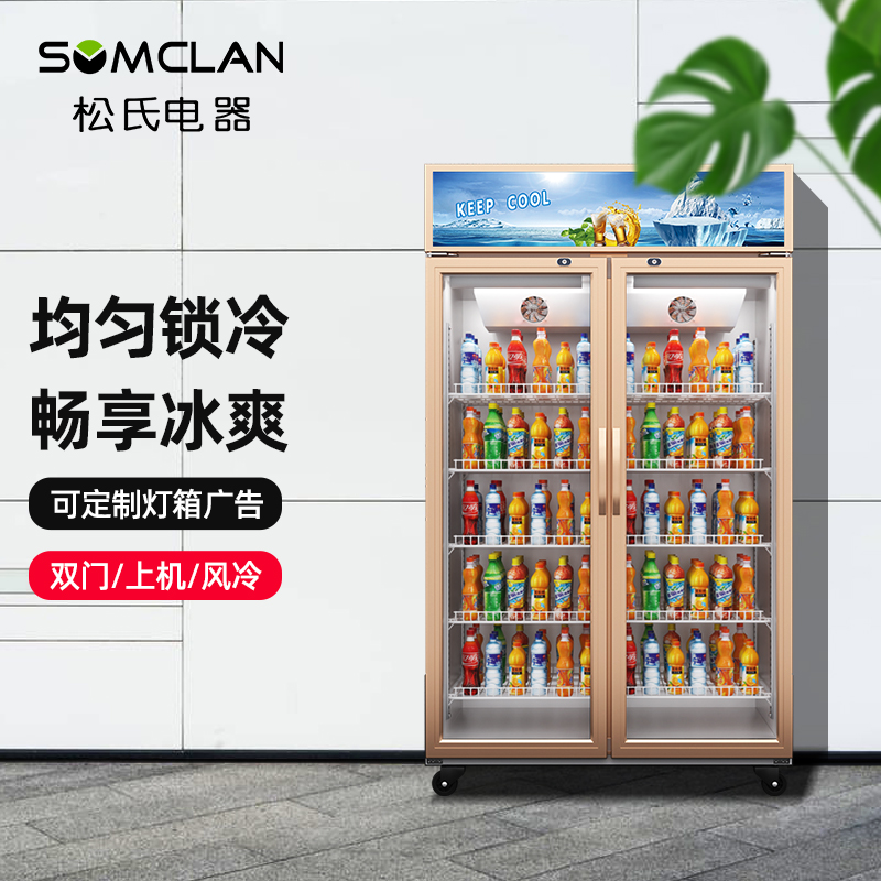 展示柜冷藏冰柜保鲜柜立式超市双开门冷藏柜啤酒柜800l风冷铝合金款
