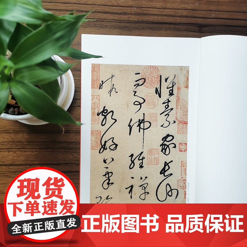 怀素自叙帖 中国碑帖名品64大红袍系列上海书画出版社书法篆刻正版字帖高清大图