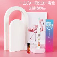 香港RNR 儿童电动牙刷全自动软毛刷头防水儿童智能五档可调节牙刷 白+一刷头(无替换刷头)不推荐 卡通图案电池款
