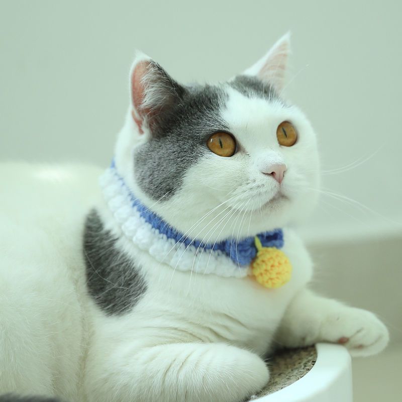 红色+红色 XS(15-20CM) 猫咪项圈狗狗用品宠物颈圈铃铛脖圈猫猫围巾小型犬饰品猫狗用品