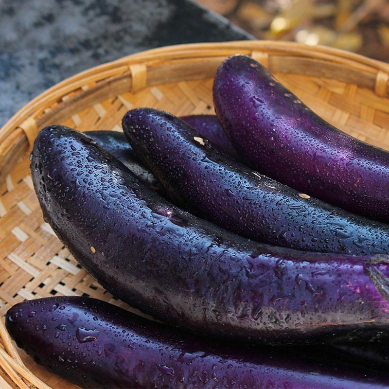 [西沛生鲜]新鲜紫茄子长茄子 净重4.5斤装 农家自种长线大茄子黑嫩现摘蔬菜高清大图