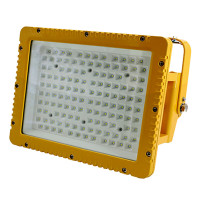 秦电盛欧 50W压铸铝合金免维护LED防爆灯 SOCK-8610 单位:个