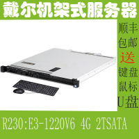 戴尔DELL R230 机架式服务器主机1u服务器 R230 E3-1220V6 2盘位 4G+一块2T SATA