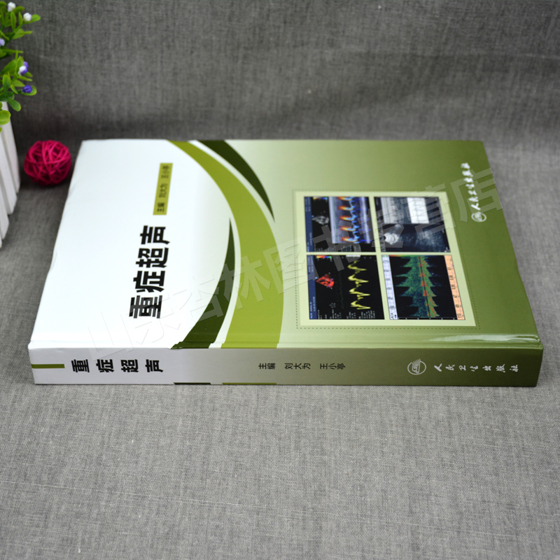 [正版] 重症超声 主编刘大为 王小亭 重症医学参考工具书籍 重症心脏超声医学影像书籍基本理论的临床应用 人民卫生出版高清大图