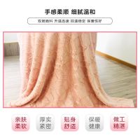 绒毯床单单人双层毯子抱枕两用毯子地上绒毯子冬天被子加厚保暖