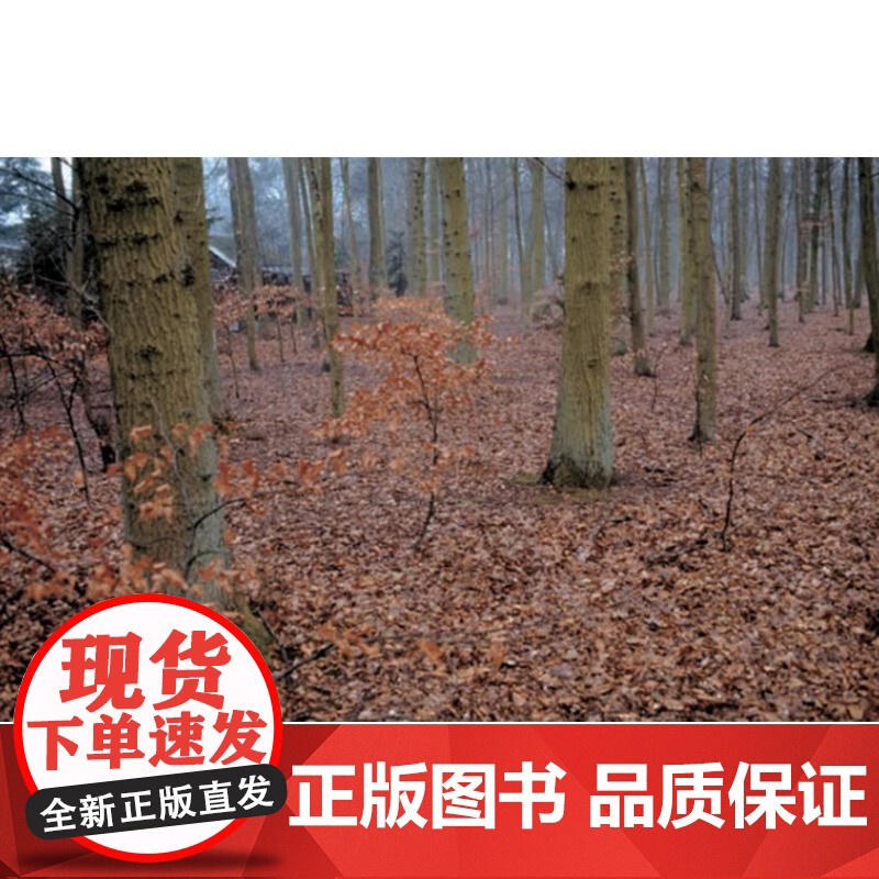 [央视网]寻觅凡高 追随大师的艺术之旅 艺术家生平传记 200幅原作摄影书信 还原梵高 了解凡高 美术绘画艺术大师作品集高清大图