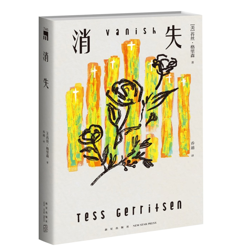 [正版] 消失 [美] 苔丝·格里森 美剧妙女神探系列原著小说 双女主强强联手惊险刺激反转不断 午夜文库 推理悬高清大图