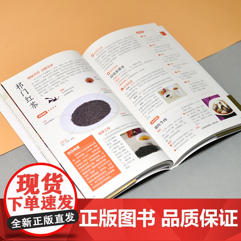 正版书籍 中国茶入门图鉴 从喝茶到懂茶的中国茶文化手册 实用茶道 步骤详解 让您轻松从入门到精通 实用茶学茶艺百科全图鉴高清大图