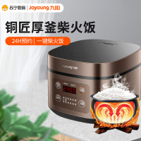 九阳(Joyoung)电饭煲家用4升柴火饭大火力快煮智能预约多功能焖煮防溢电饭煲电饭锅F-40FZ815