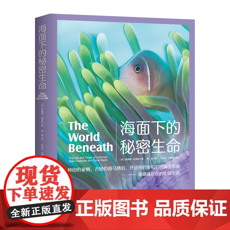 海面下的秘密生命 理查德史密斯 水下摄影 海洋生物科普 潜水 北京科学技术高清大图