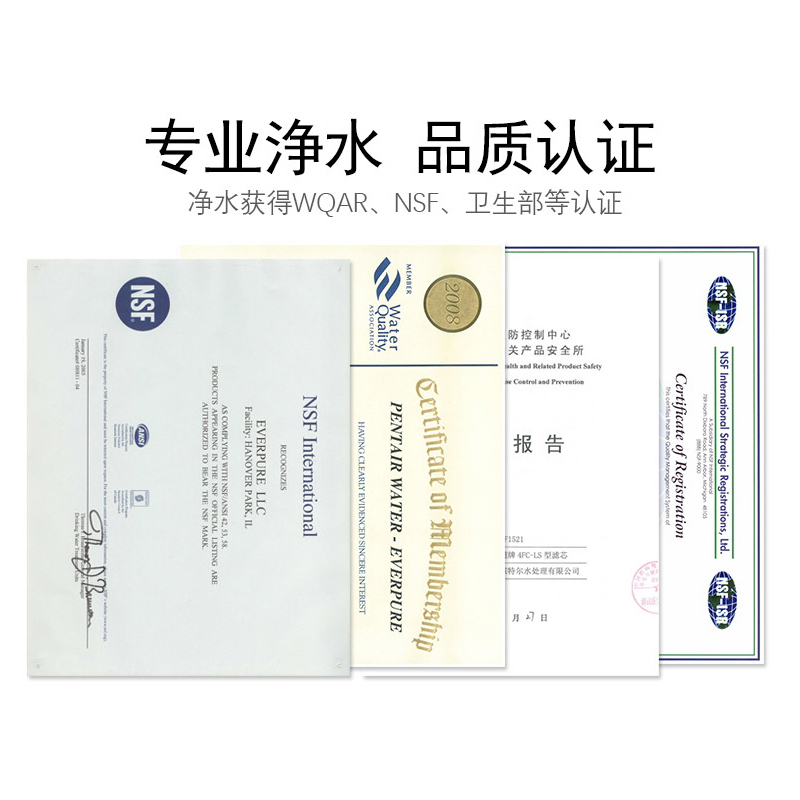 爱惠浦(Everpure)MC2 双滤头 大流量-额定净水量3300L 商用直饮净水器