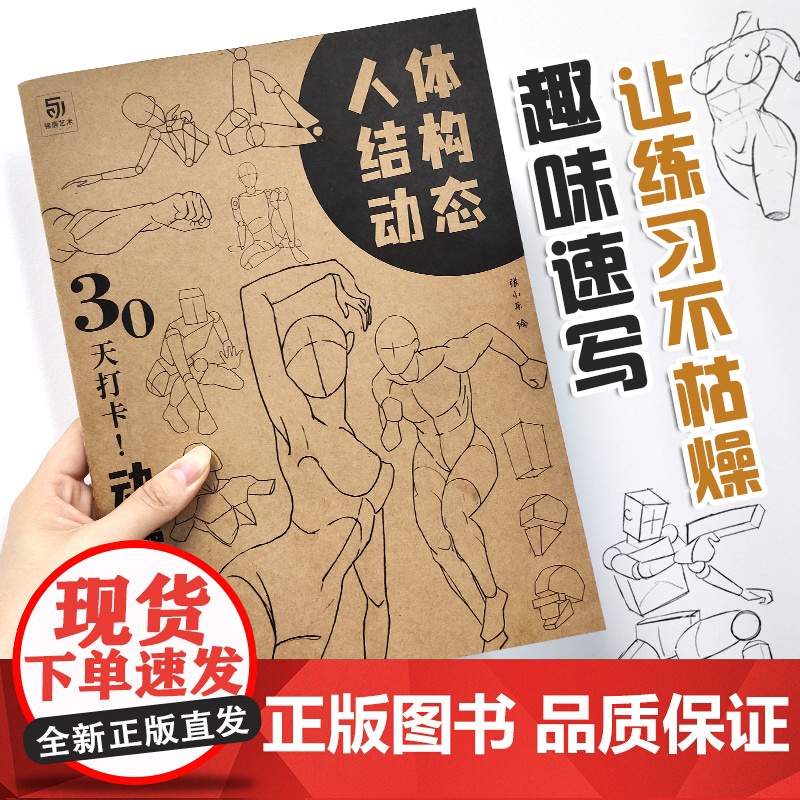 四本 人体结构动态专项练习 速写描摹本 漫画人物绘画 动漫临摹素材 线稿本草图本 漫画二次创作 美术绘画本 画画自学零基高清大图