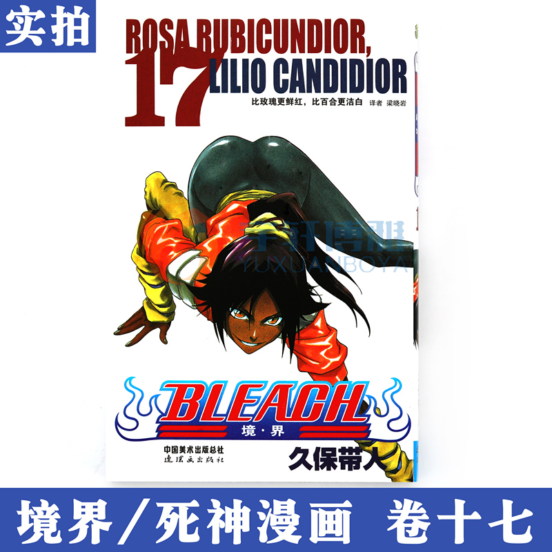 [正版]赠书签境·界 死神17 漫画 第17册 比玫瑰更鲜红,比百合更洁白 [日]久保带人 境界死神漫画 日本经典动高清大图