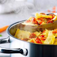 德国菲仕乐/Fissler 家庭系列20cm双耳汤锅不锈钢锅奶锅煮锅炖锅 304不锈钢防滴漏边缘电炉电磁炉电陶炉燃气炉