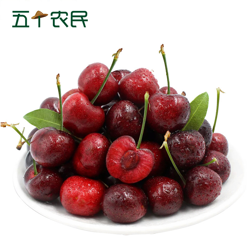 [五个农民]智利进口原箱santina桑提娜JJ级车厘子2500g红宝石樱桃新鲜水果顺丰空运