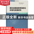 湖北省基础教育信息化评测与发展研究