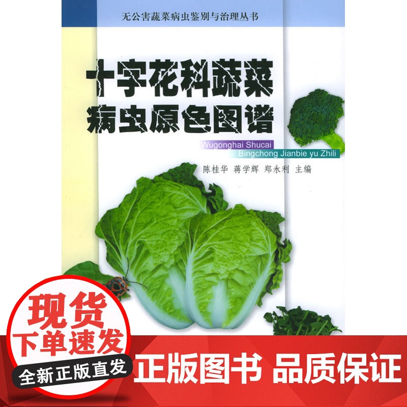 十字花科蔬菜病虫原色图谱——无公害蔬菜病虫鉴别与治理丛书