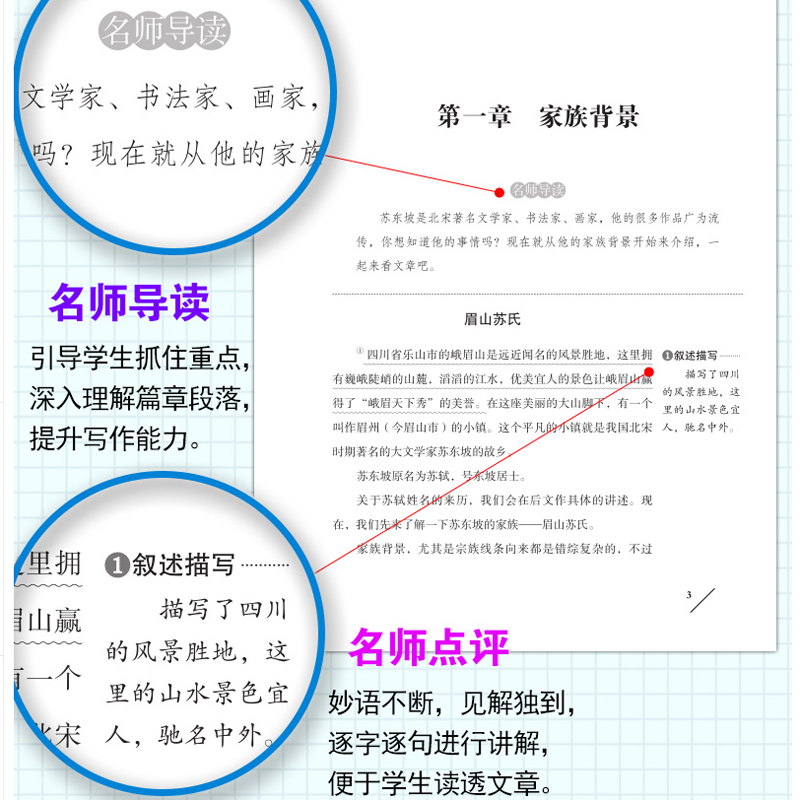 西游记 [正版]同系苏东坡传 作品原版苏轼传书 国学大师林语堂著 名人人物传记 历史名臣传 名人传书苏轼传记名人传记小学高清大图