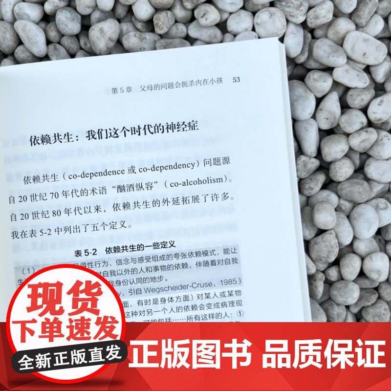 正版 拥抱真实自我:内在小孩的探索和疗愈 Charles L. Whitfield 探索内在小孩 了解真实的自我 真高清大图