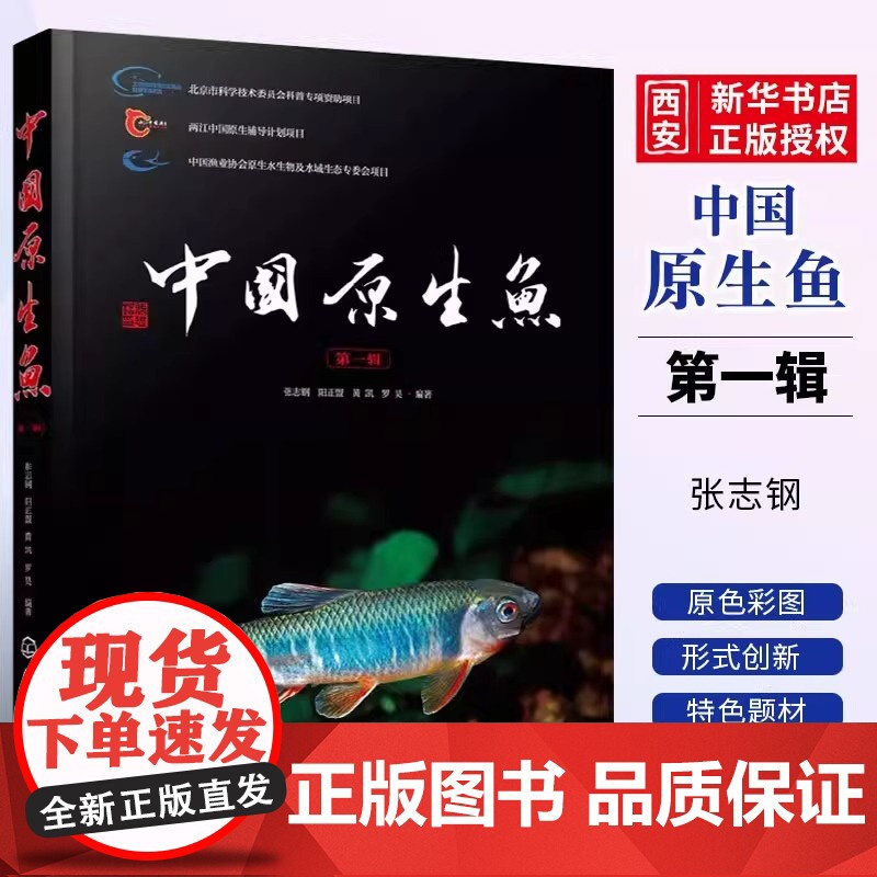 正版中国原生鱼 第一辑 化学工业出版社 观赏鱼原生观赏鱼图鉴书淡水鱼类溪流冷水鱼观赏鱼 鱼类科普书海洋生物知识书籍高清大图