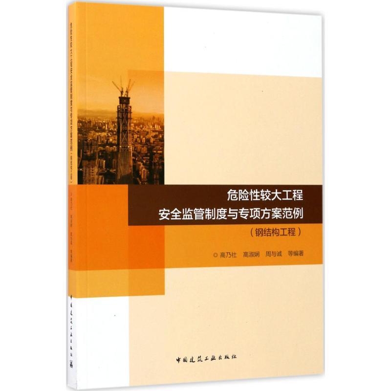 危险性较大工程安全监管制度与专项方案范例 高乃社,高淑娴,周与诚 等 编著 专业科技 文轩网