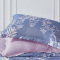 梦洁家纺 抗菌磨绒四件套:妍姿 200*230cm