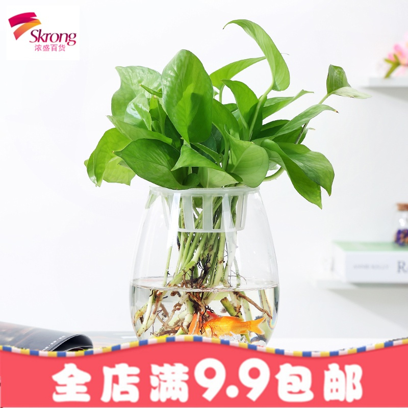 创意大号透明玻璃欧式花瓶 桌面水培绿萝观音竹花瓶鱼缸容器摆件