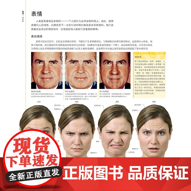 DK大脑百科 关于大脑解剖结构 功能和疾病的图解指南 科普百科 健康生活 北京科学技术出版社高清大图