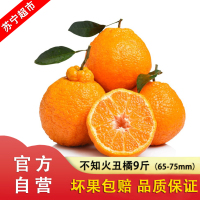 四川不知火丑橘9斤65mm-75mm 果园直采早熟头茬 水果新鲜发货