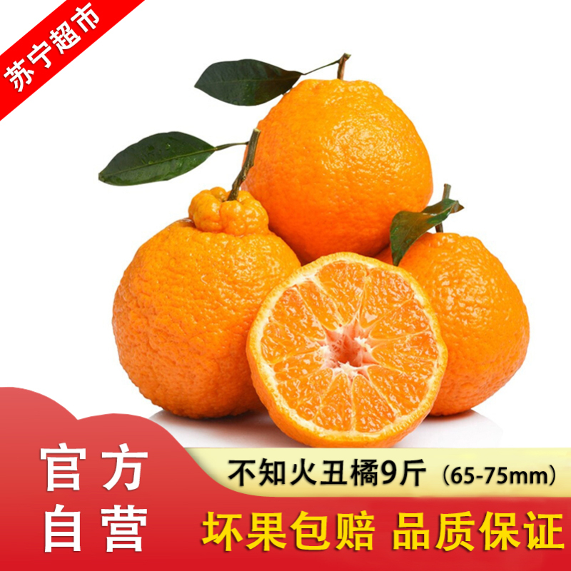 四川不知火丑橘9斤65mm-75mm 果园直采早熟头茬 水果新鲜发货