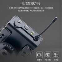 得胜(TAKSTAR) SGC-100W单反相机话筒摄像采访麦克风录音小无线蜜蜂户外录音无线采访