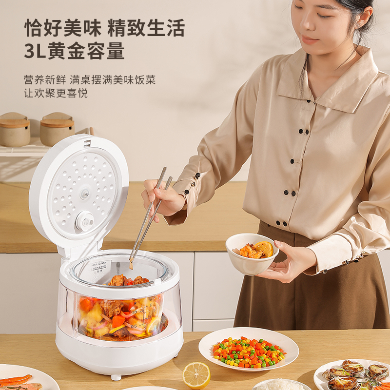 艾青春(AIYOUth) 玻璃无涂层家用电饭煲透明可视饭煲3L电炖锅电饭锅 AI-FB558高清大图