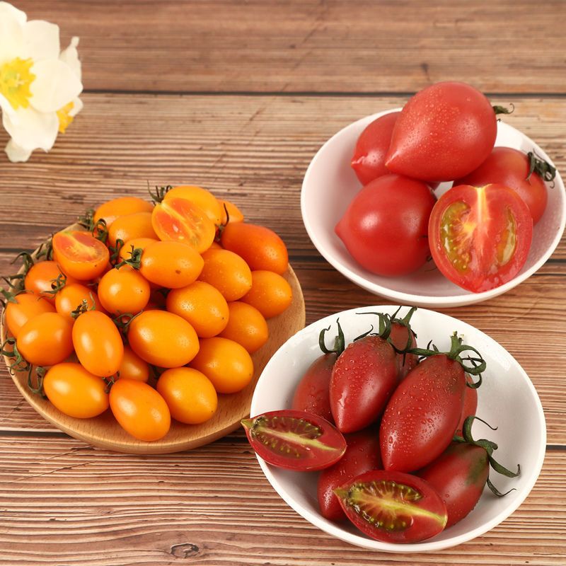 赛卡伊福建春桃圣女果小西红柿番茄新鲜蔬菜时令水果25斤顺丰