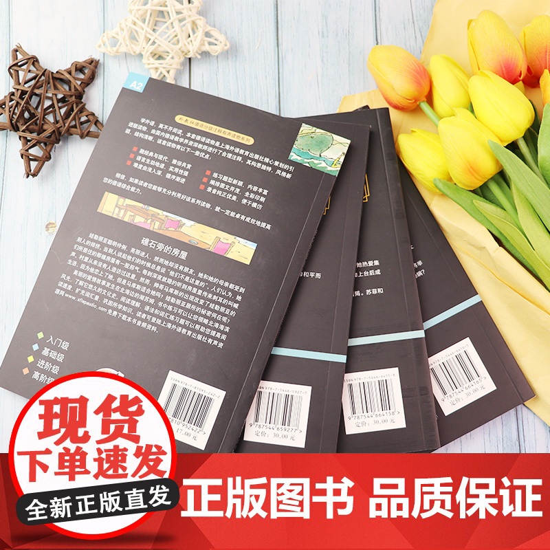 德语A2 礁石旁的房屋+人靠衣装+爱因斯坦+白玫瑰绍尔套装4本德语故事阅读 德语读物德语分级阅读A2德语阅读学习德语循序高清大图
