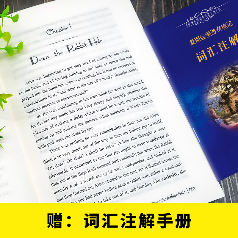 醉染图书爱丽丝漫游奇境记(附词汇注解)(英文版)9787511037558高清大图