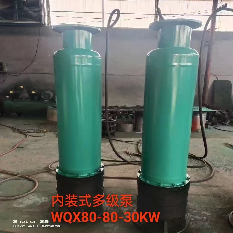 内装式多级泵WQX80-80-30KW 单位/台高清大图