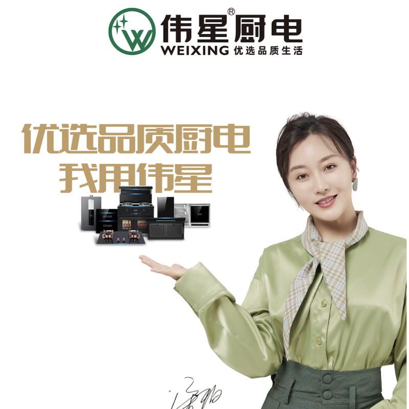 伟星厨卫电器(wx-j12)集成灶 厨房电器 油烟机灶具 蒸烤一体