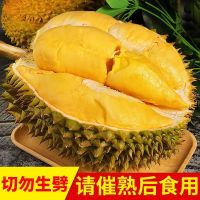 [西沛生鲜]泰国托曼尼榴莲 进口榴莲 3房 2-3斤装 软糯香甜 新鲜水果 西沛
