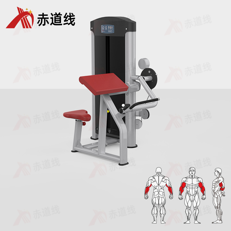 赤道线 二头肌训练器综合训练器 CDX-A523S-BFT3007B高清大图