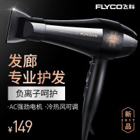 飞科(FLYCO)发廊专业电吹风机FH6105大功率吹风筒负离子 2200W