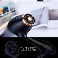 飞科电吹风FH6101