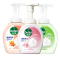 滴露泡沫抑菌洗手液花香型250ml+西柚香型250ml+青柠香型250ml