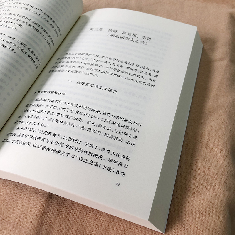 醉染图书晚明诗歌研究9787020160440高清大图