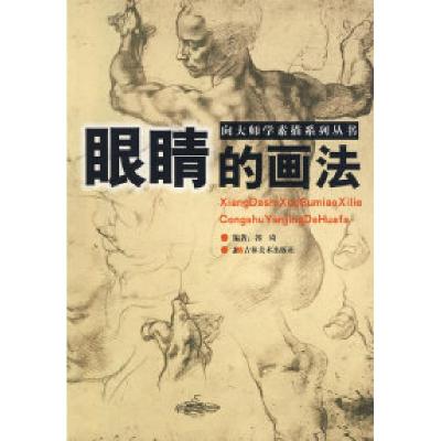11向大师学素描系列丛书:眼睛的画法978753863227922