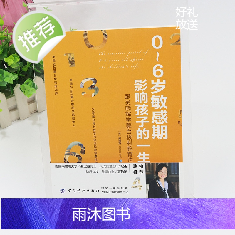 0~6岁敏感期影响孩子的一生:跟吴晓辉学蒙台梭利教育法 20年蒙台梭利教学倾囊相授 早期教育法家庭教育蒙氏教育育儿书籍畅高清大图