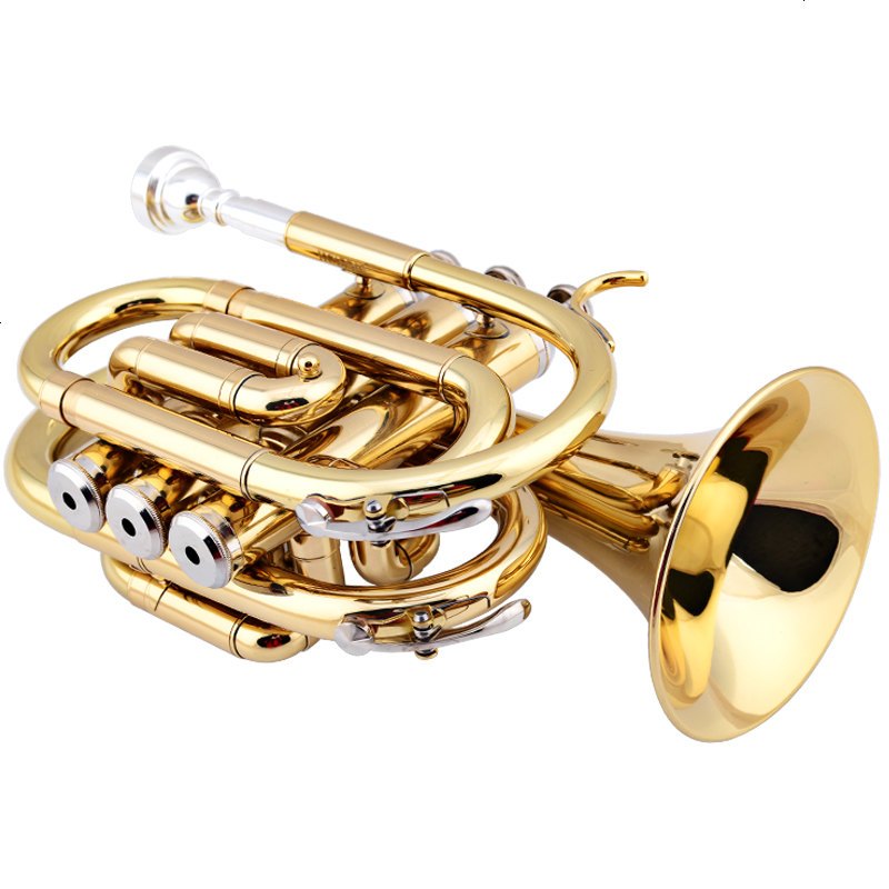美国JAZZOR 爵士朗 手掌号便携式小号降B调袖珍短号铜管乐器新品